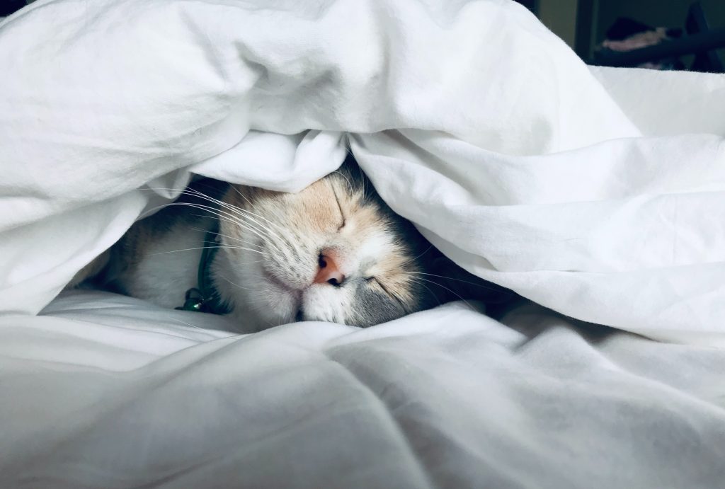 好的睡眠可以影響減肥的效果激素分泌也會有一定的影響