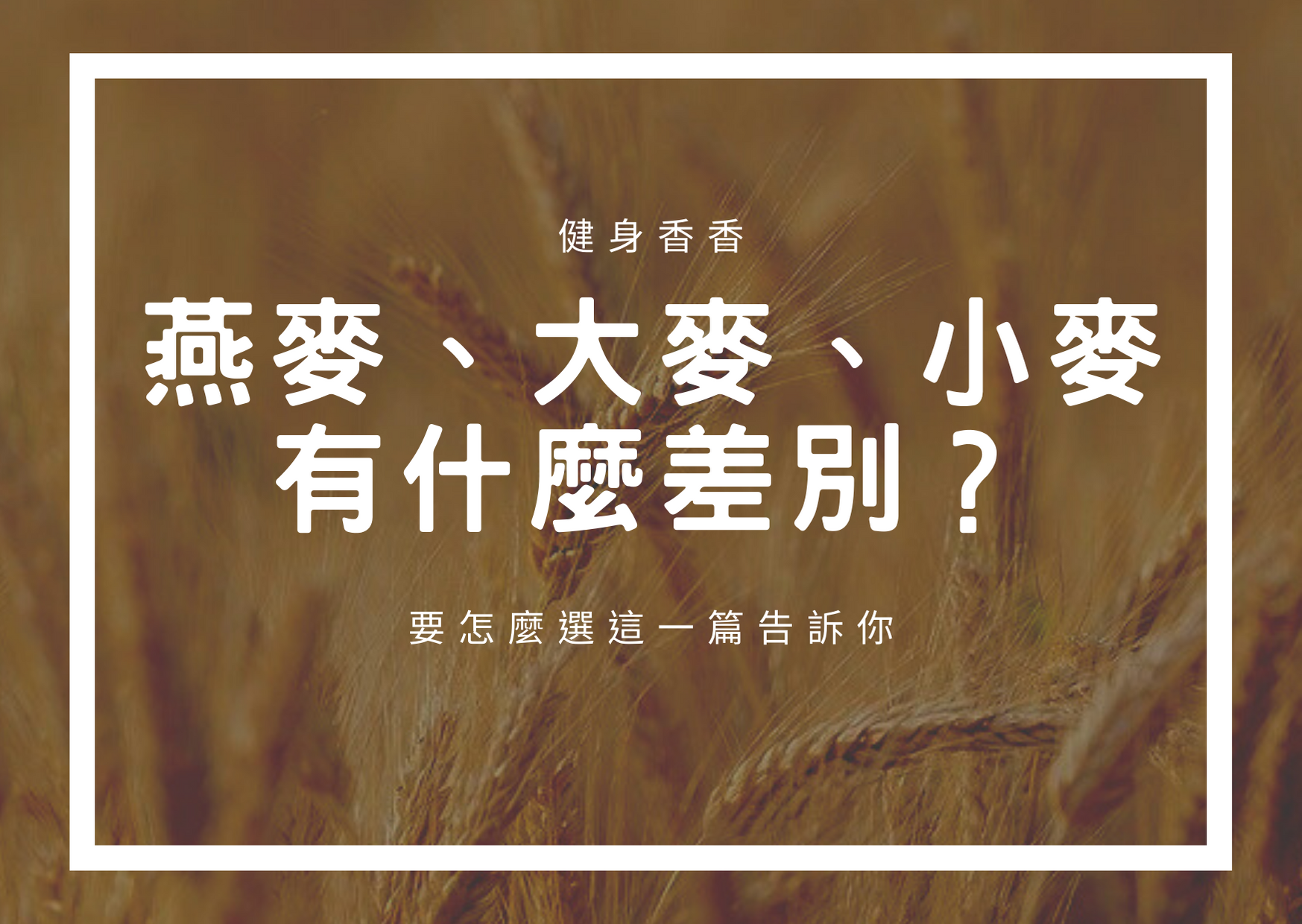 Read more about the article 燕麥、大麥、小麥有什麼差別？營養、比較，1次全看完